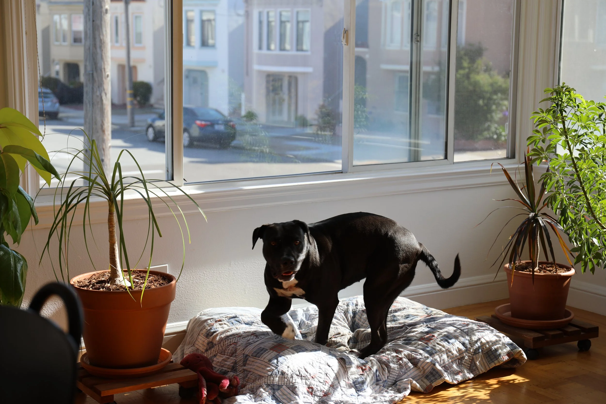 MAY 14, 2022 // LIZARD PEOPLE MAGAZINE PRACTICE #2?