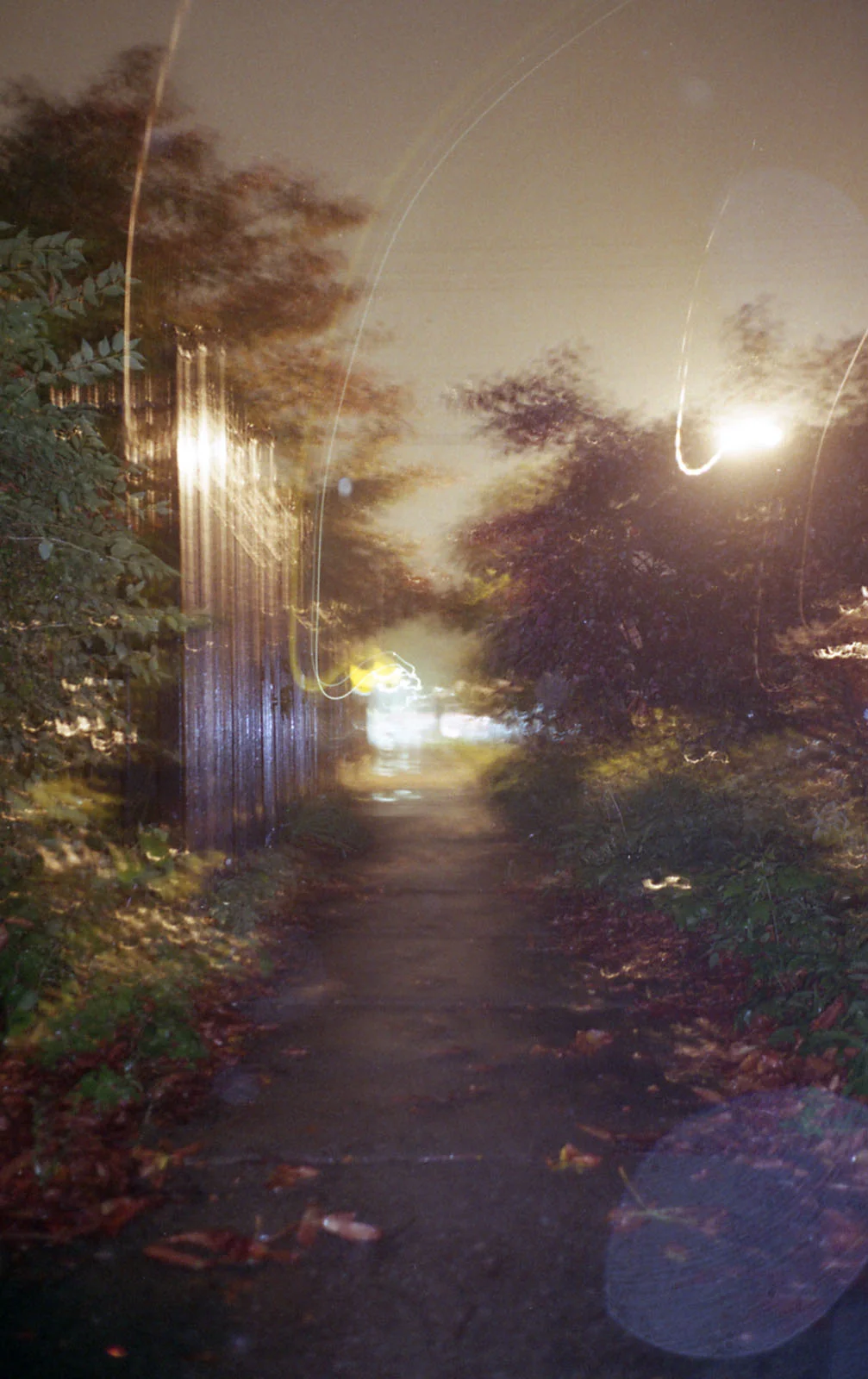  blurrr in the spring 