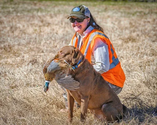 Pheasant Hunt