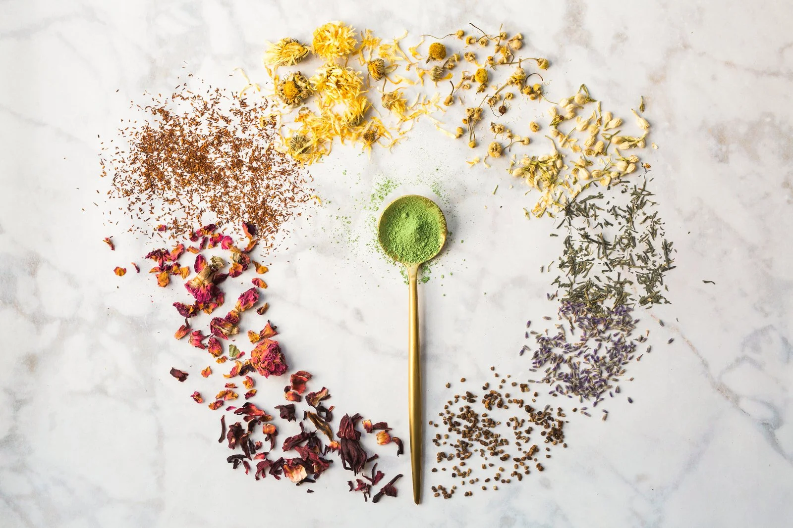 Rainbow_Circle_Herbs-105.jpg