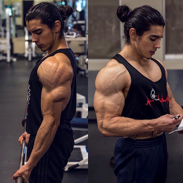 THICK ARMS 101
&bull;
Would you rather have bigger biceps or triceps?
&bull;
Keep in mind that your triceps actually make up for the majority of the size in your arms...and when brought up to speed, will give your arms a sick look!
-
You can train sm