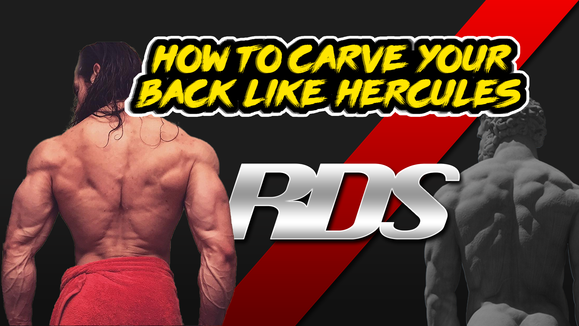 Best Back Workout & Lifting Queues