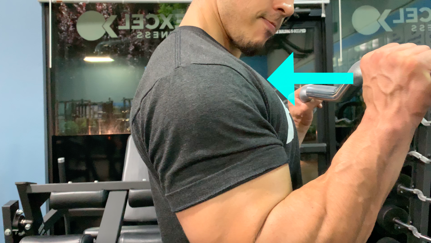 wristplacement.png