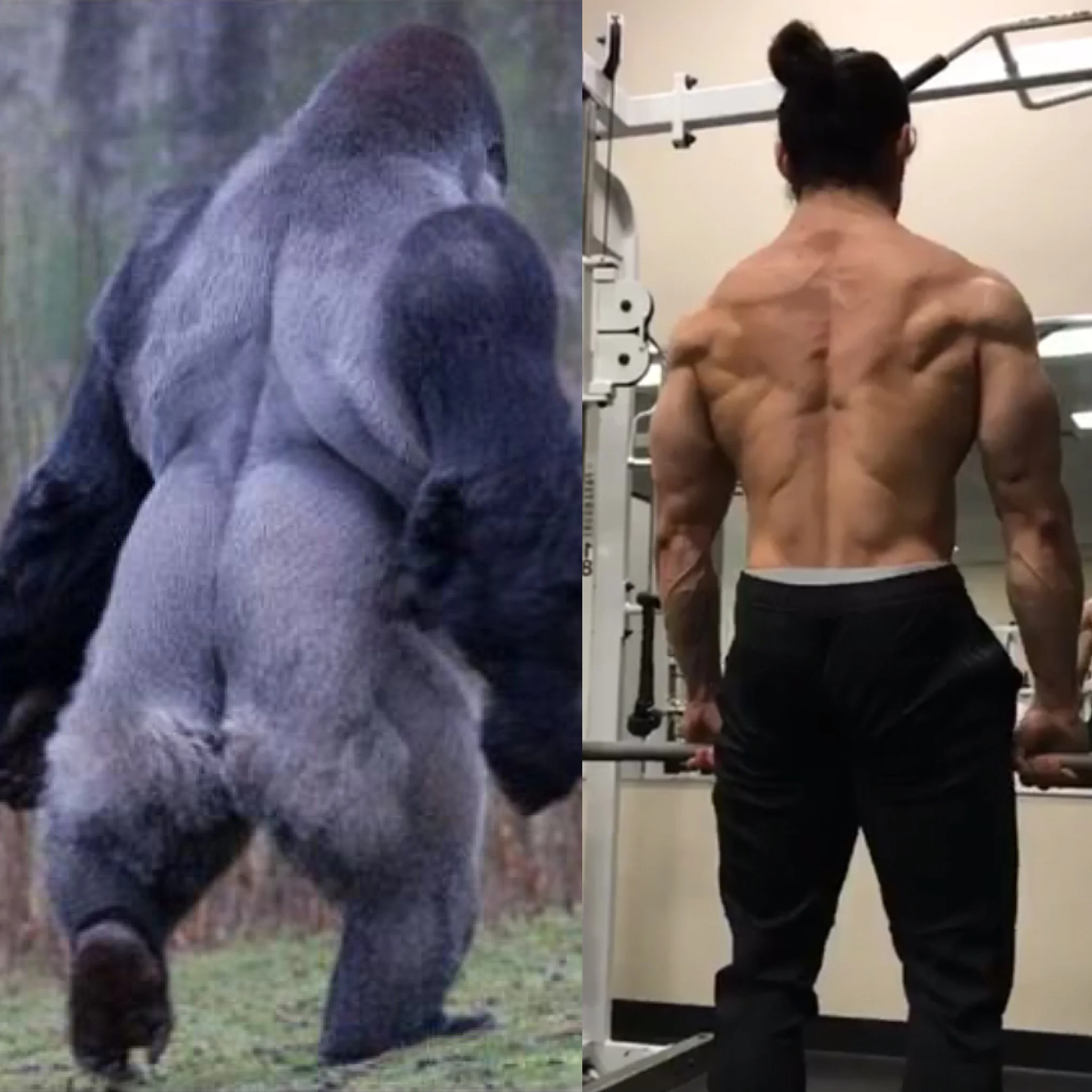 Thats me on the right. Developing Gorilla Grip has added SLABS of muscle to my frame.