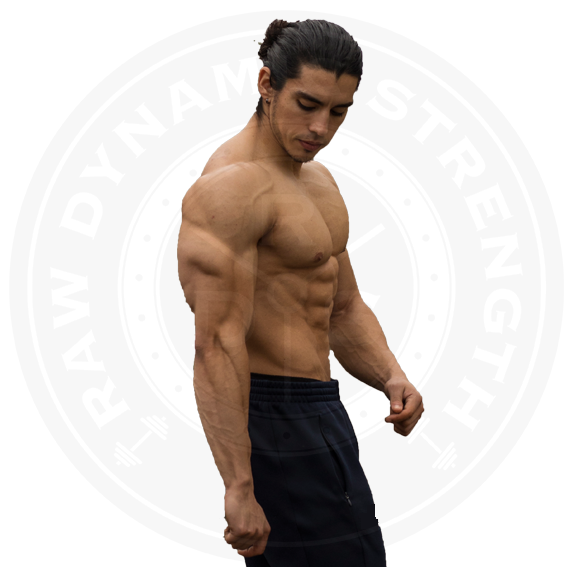 shred1.png