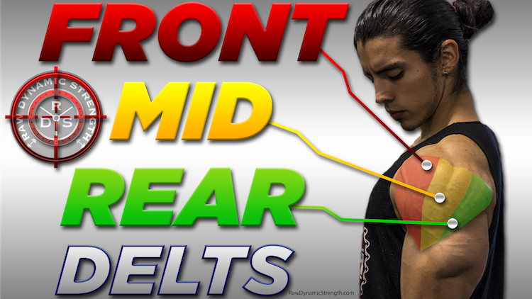 Delt thumbnail3 copy 2-01.png