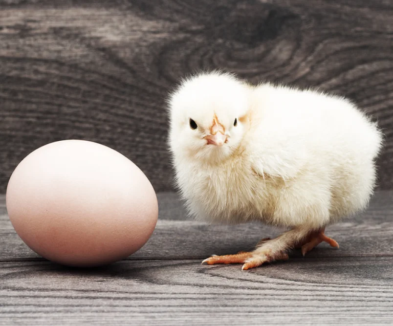 KFC wanted to celebrate Mother's Day in the only way KFC can say it.
