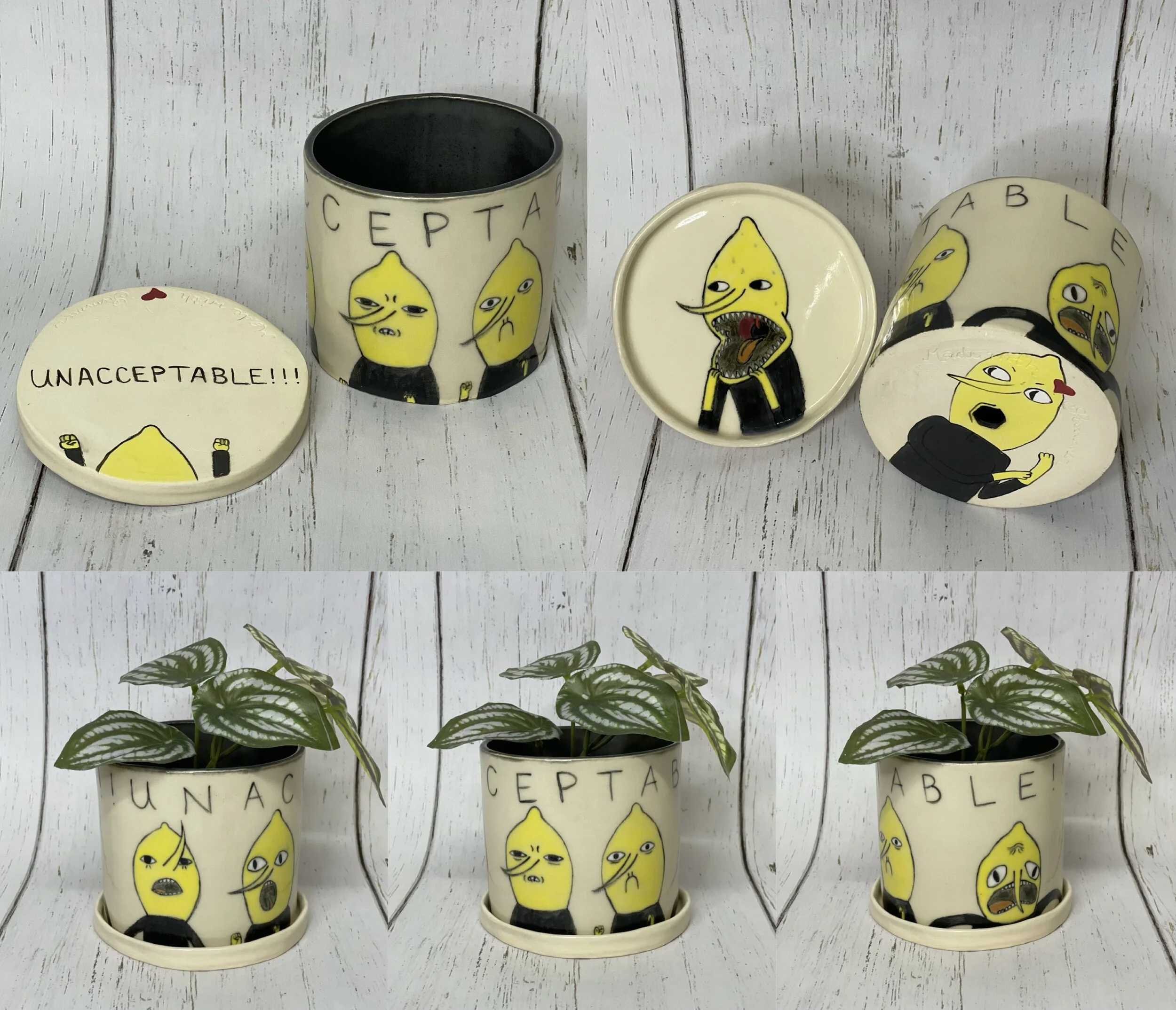 Earl of Lemongrab Commissioned Planter
