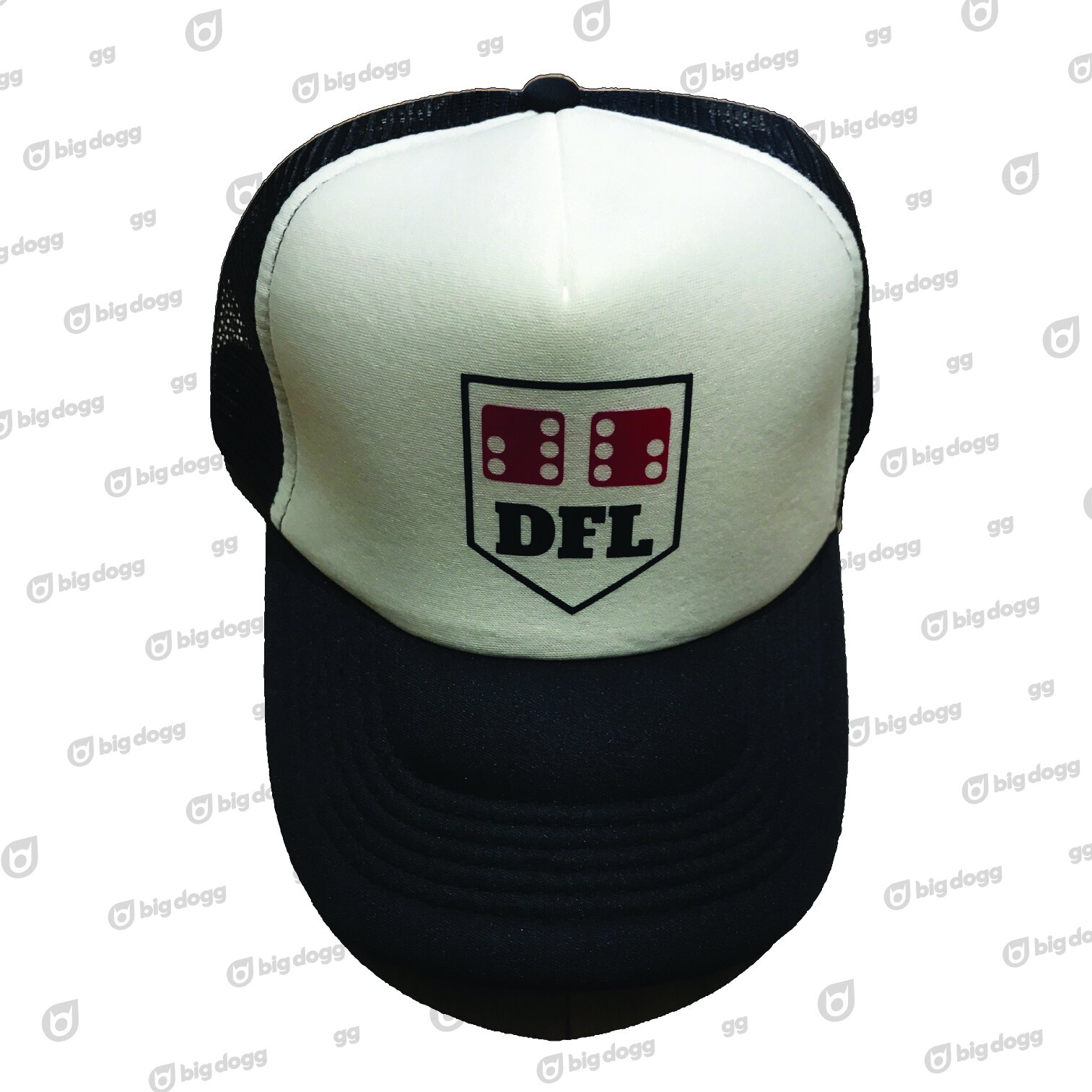 dfl - cap .jpg