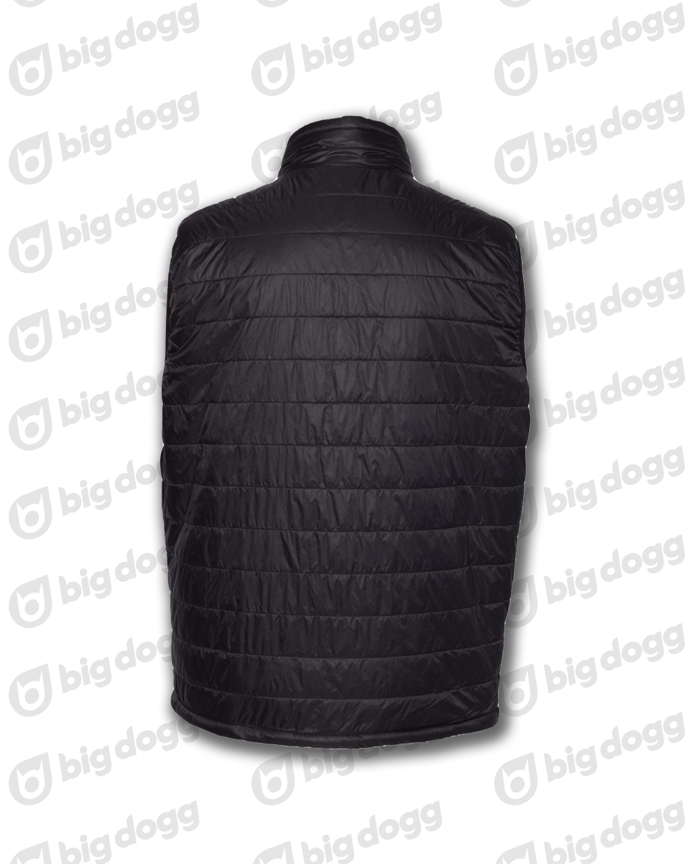 vest-back.png