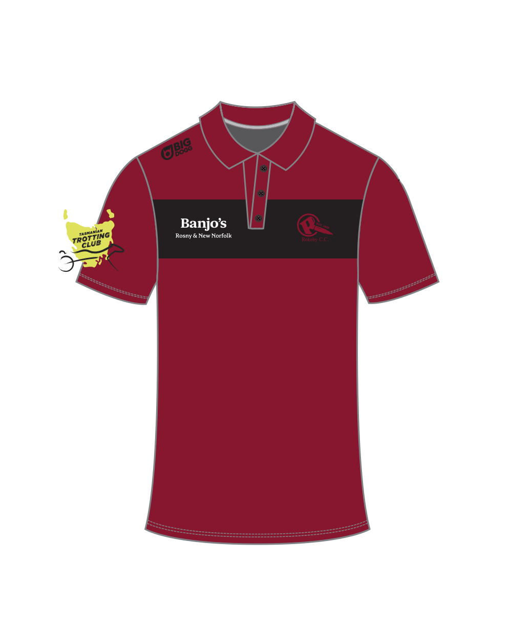 RokebyCC - Social Polo
