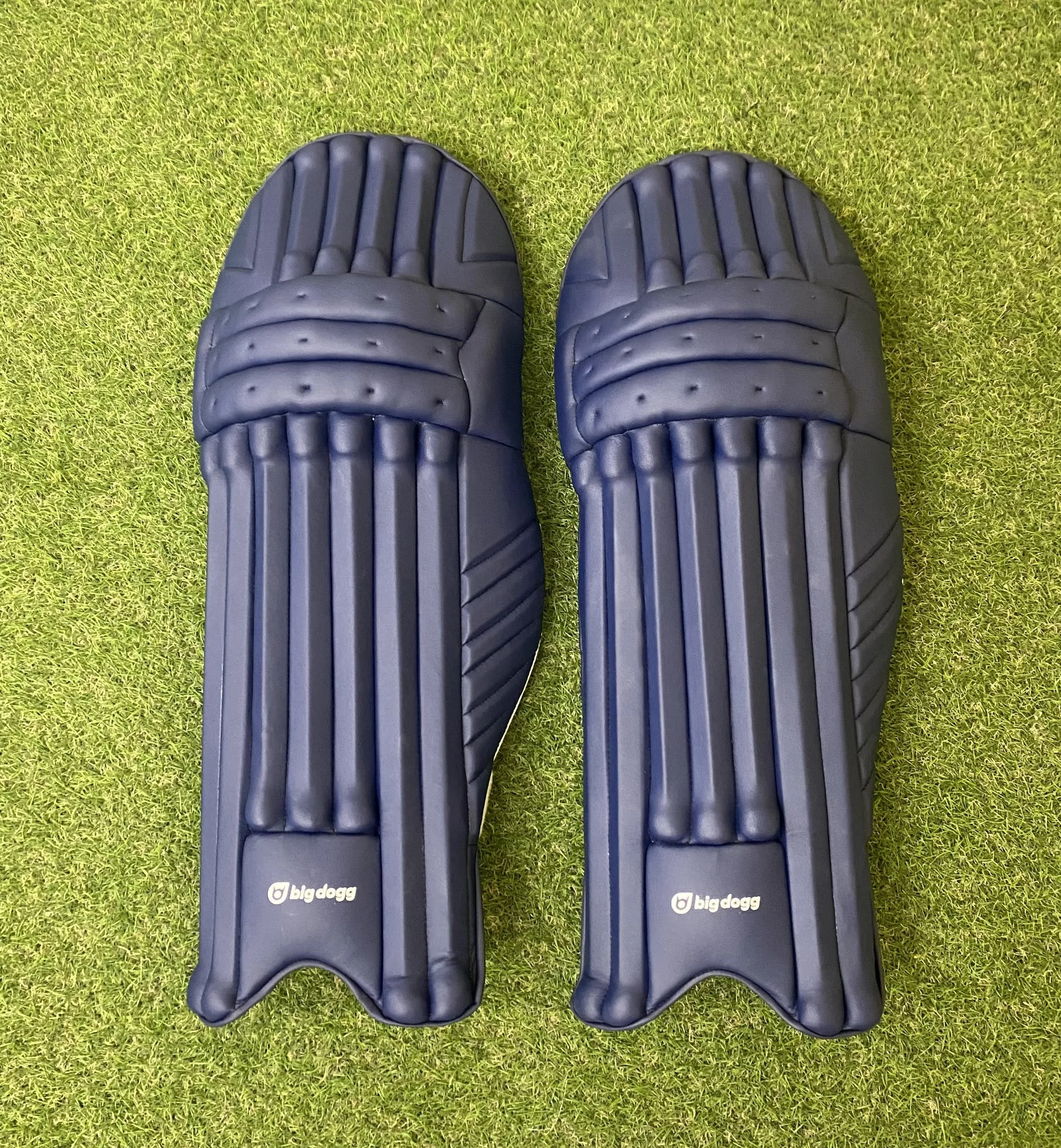 blue pads.jpg