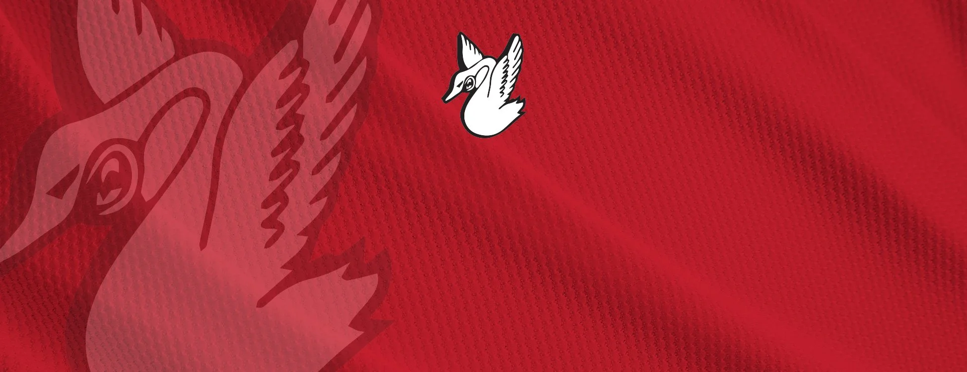 Online Store HeadersCASEY SM.jpg