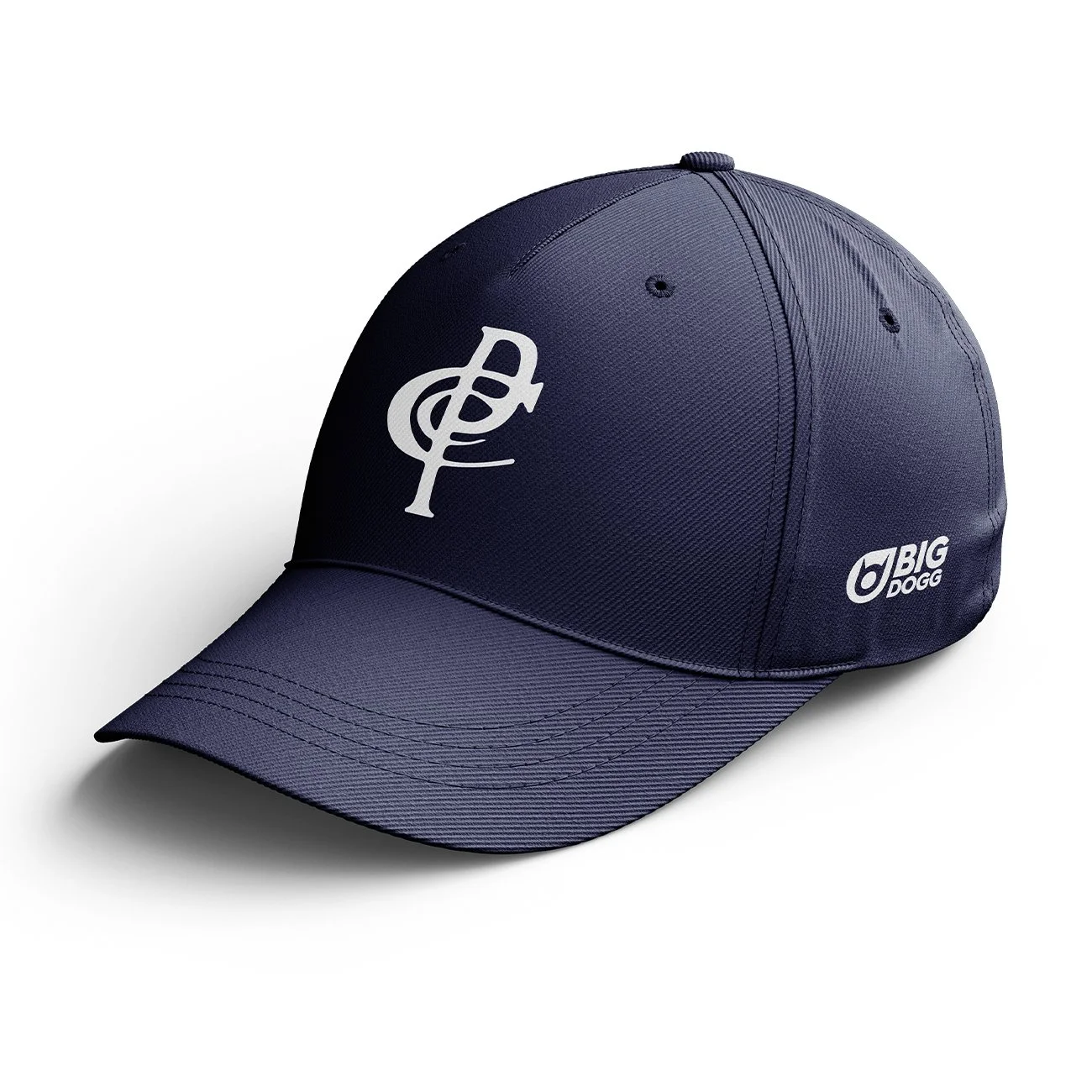 ParkfieldCurved Peak.jpg