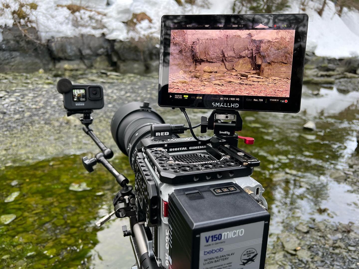 It&rsquo;s good to be out filming in Alaska again. Filming with the @reddigitalcinema v-raptors rhino s35 and the @sigmaphoto 60-600mm.
.
.
.
.
.
#reddigitalcinema #red #sigma #sigmausa #alaska #alaskawildlife #alaskawildlifephotography