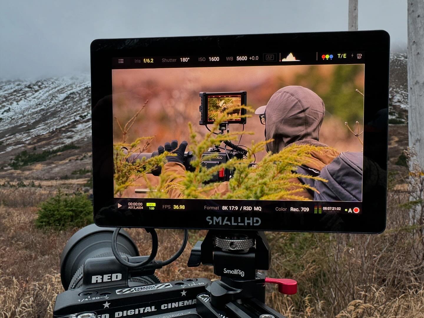 When your subject moves out of sight it&rsquo;s a good time to film your friends filming. #redcamera #moose #alaska #wildlifephotography #smallhd