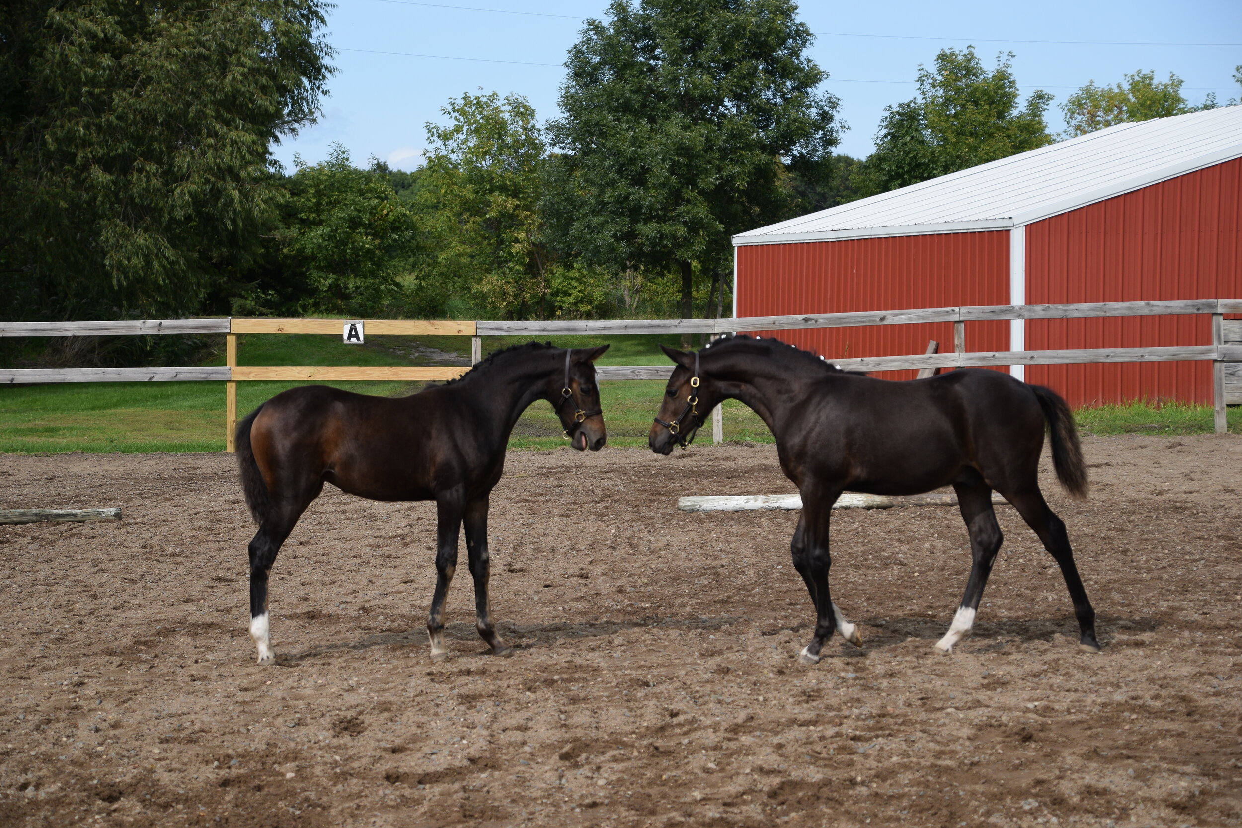 OE Inspections 2020.JPG