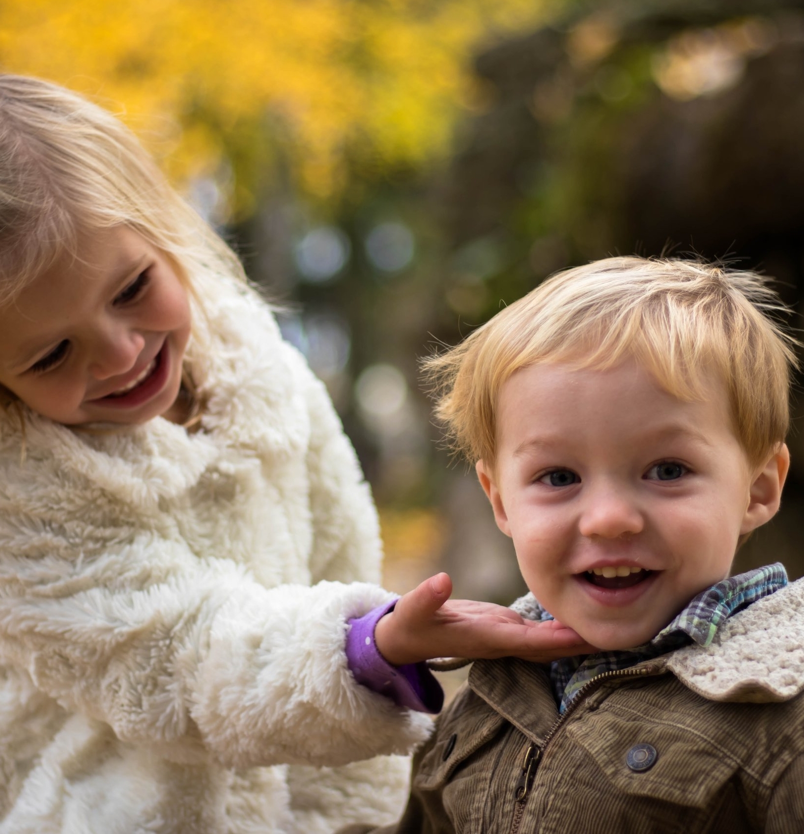 adorable-boy-children-242148.jpg