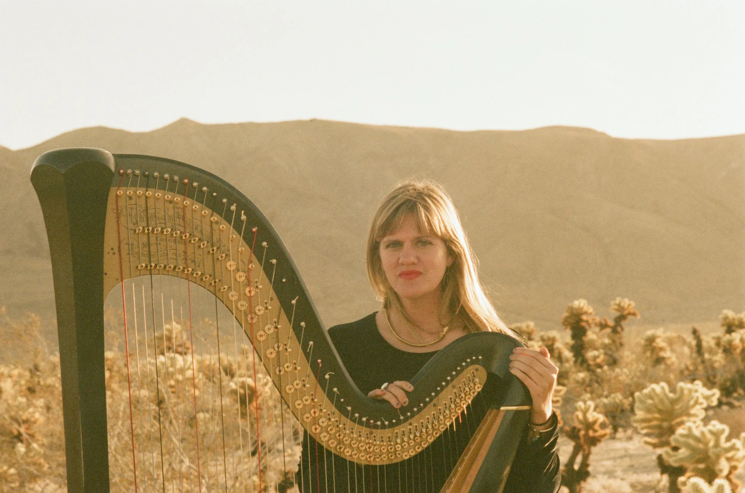 Transcend with harpist Mary Lattimore + ambient experimental Ana Roxanne