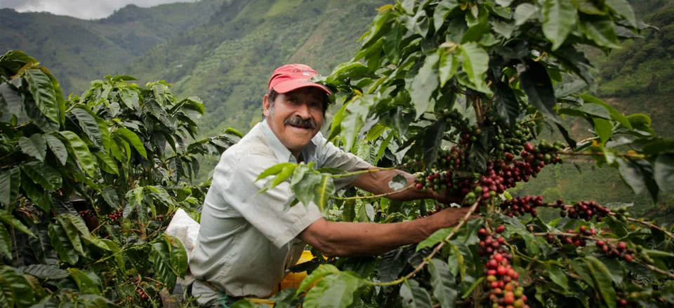 Rigoberto-7.jpg