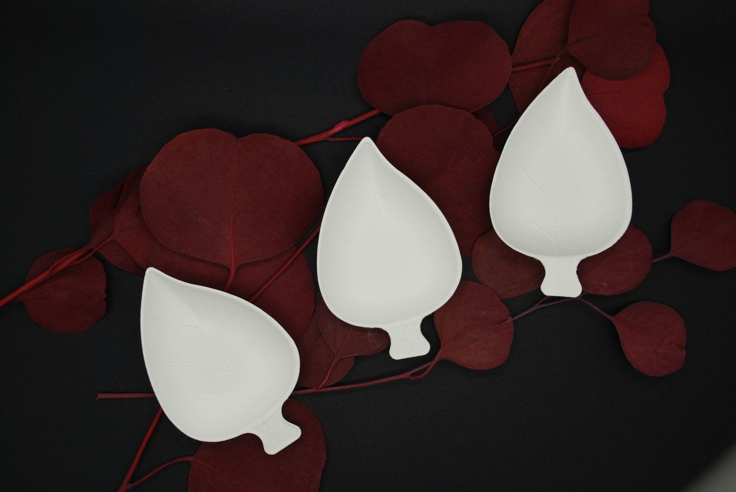 Bagasse, Areca, &amp; Bamboo: Intro to Compostable Materials