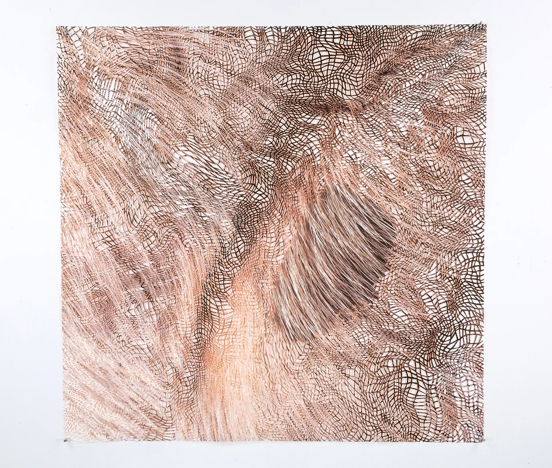 Matter (fur)