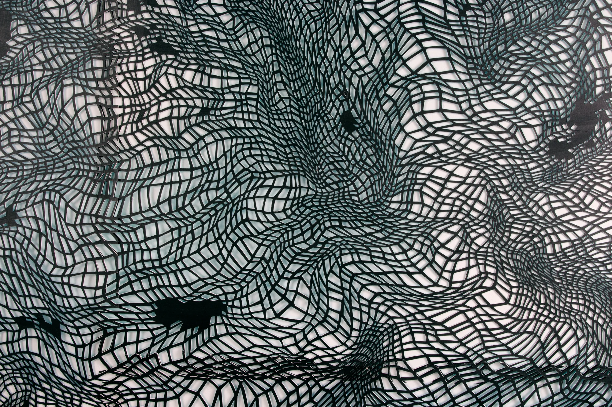 Black Cloud (detail)