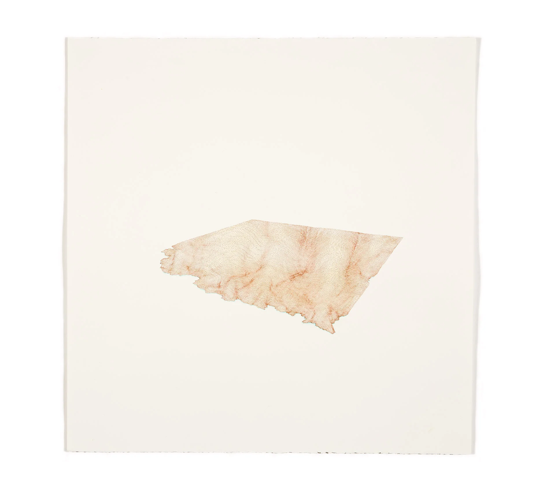 Shelf (coast range)