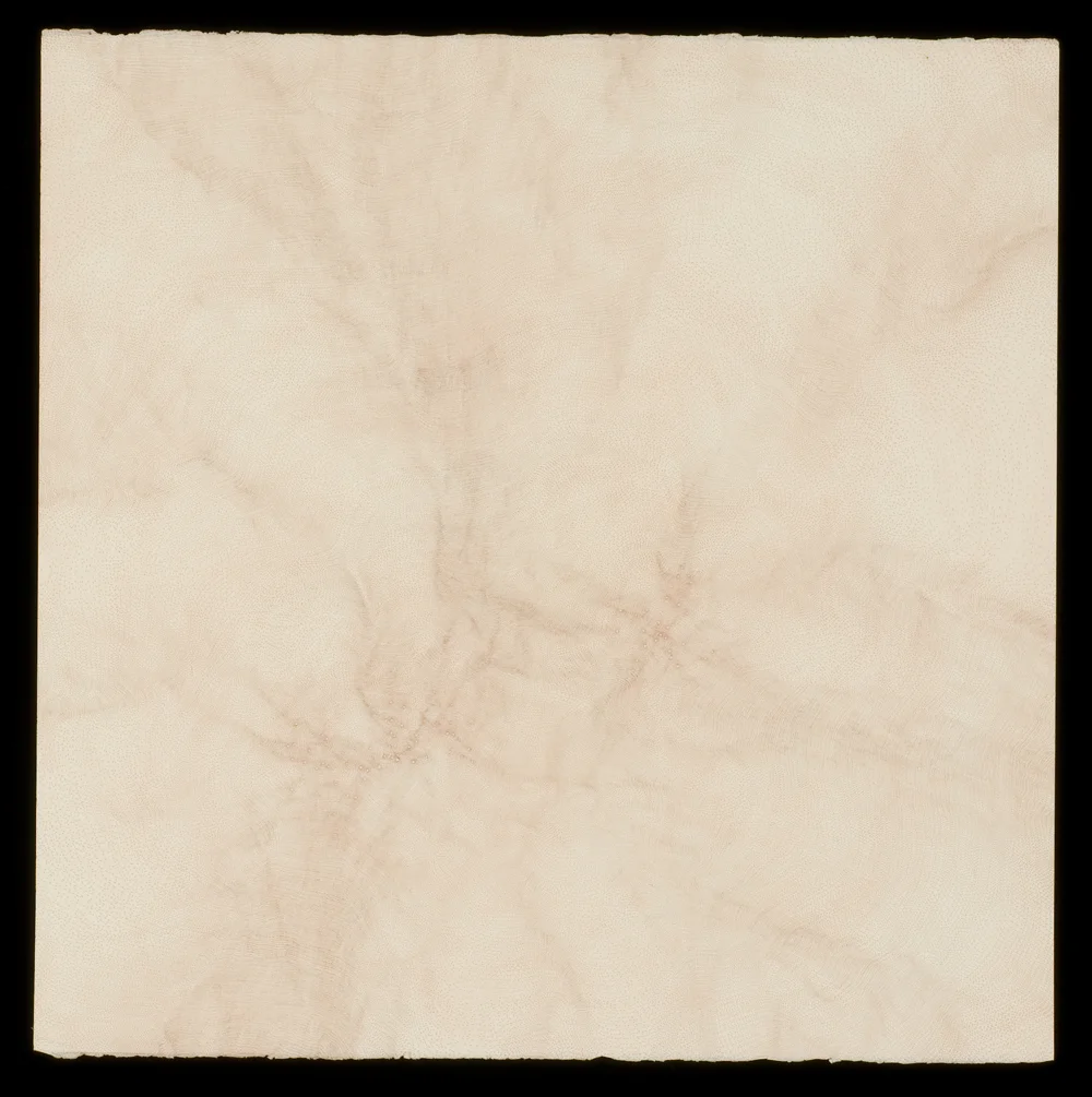 Drainage (big brown)