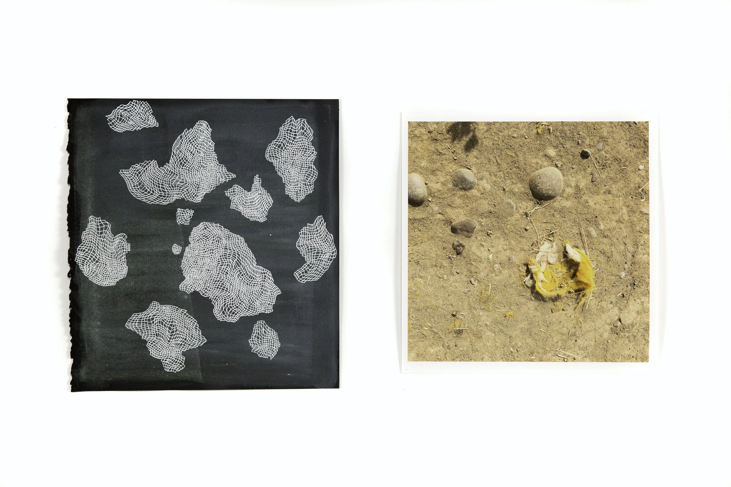 Matter (patches II) + Matter (tuft)