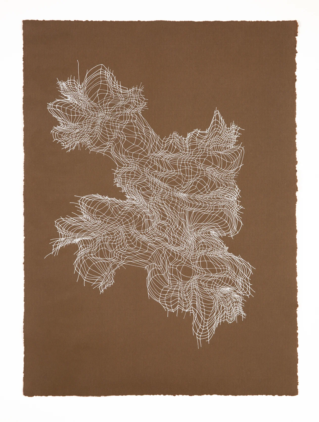 Brown Net