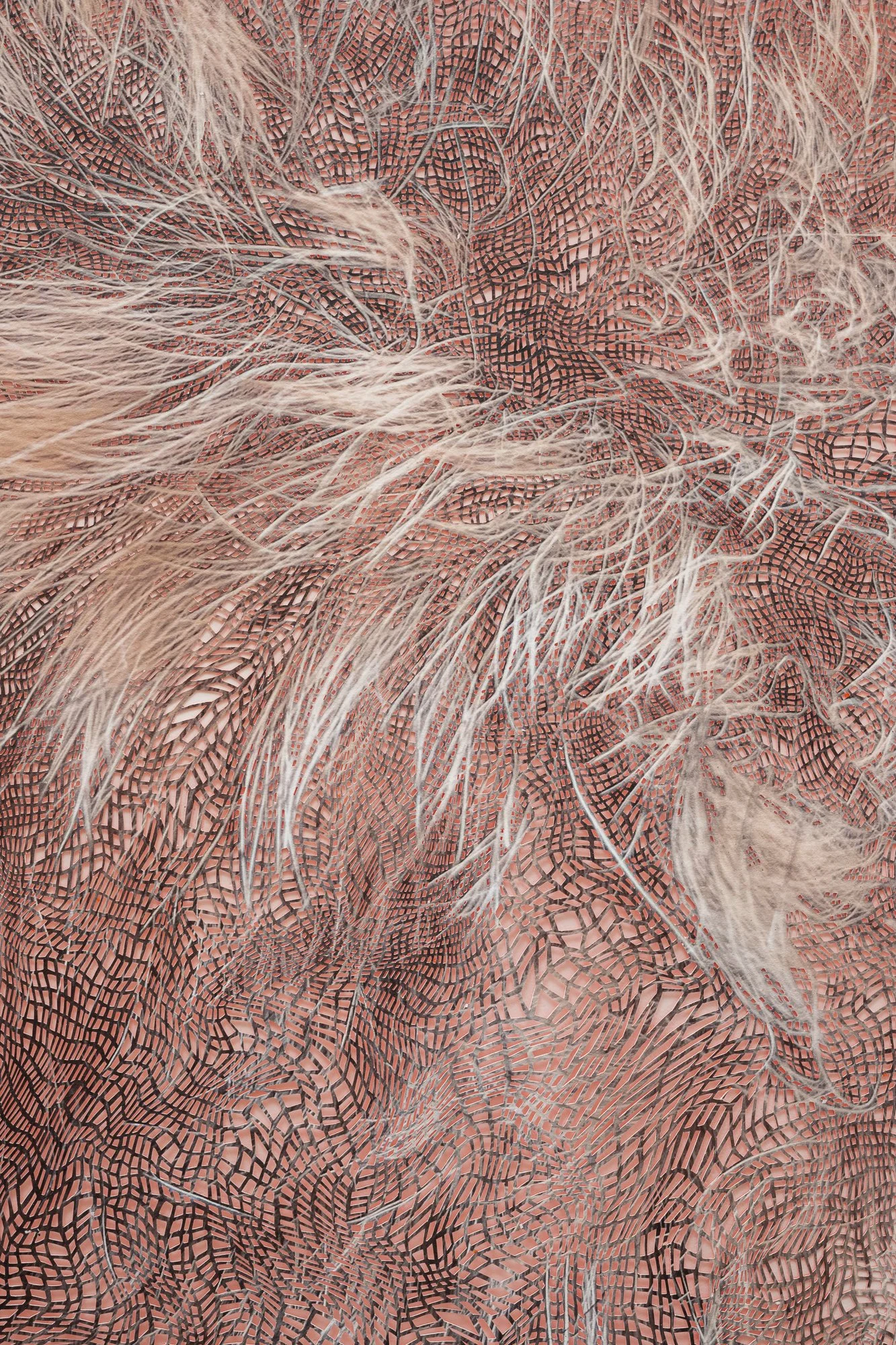 Forcefield_24_det2_sm.jpg