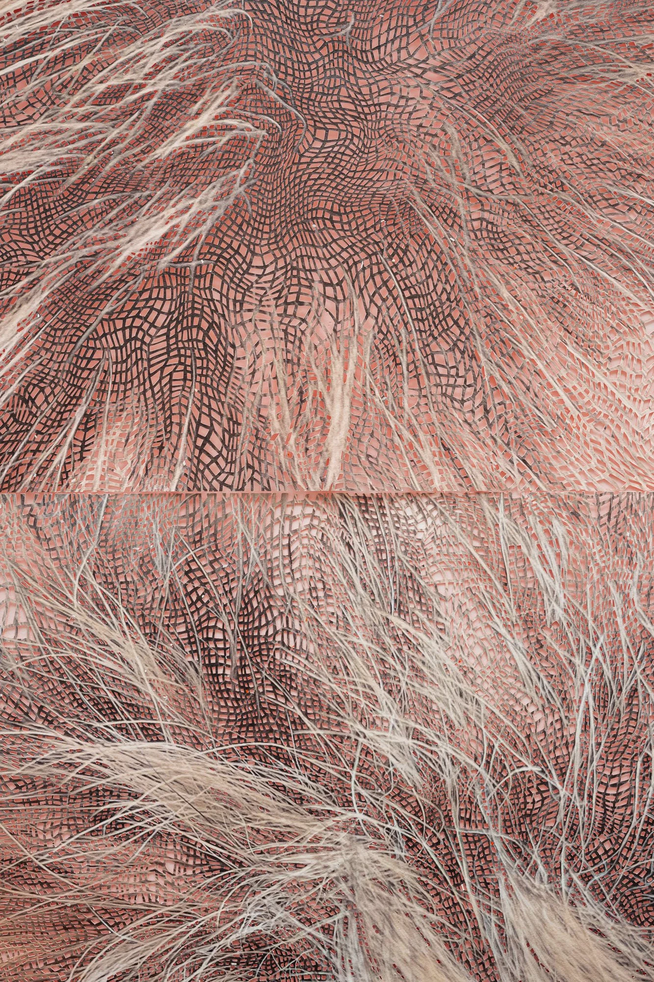 Forcefield_24_det3_sm.jpg