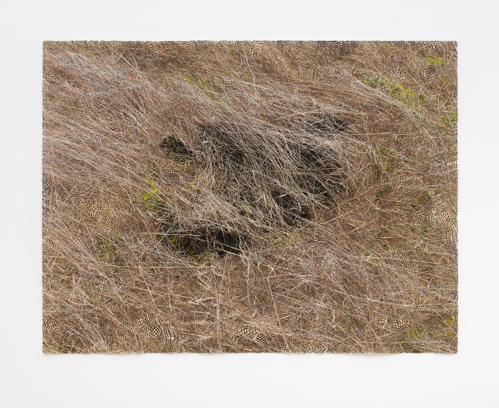 losing & finding , 2025 inkjet print, acrylic paint, paper 42"x56"