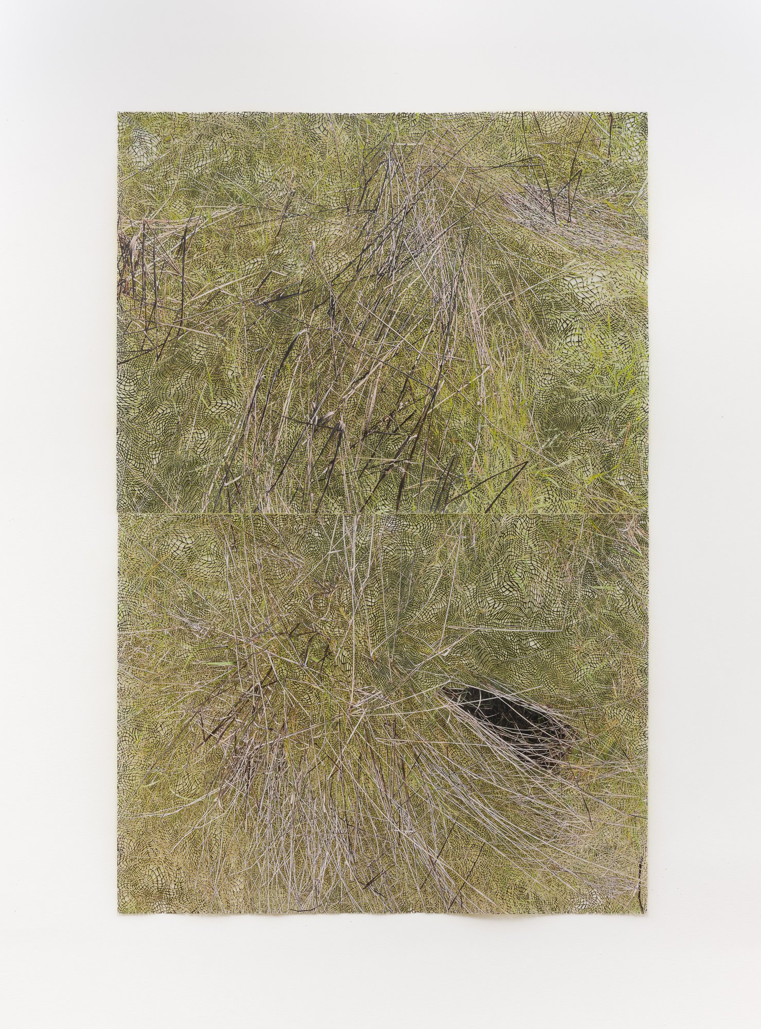 multiplying , 2024 inkjet print, acrylic paint, paper 84”x55.5”