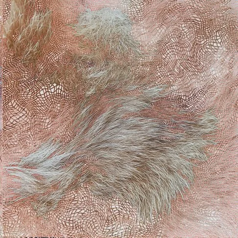 Superorganism detail1_22_sm.jpg