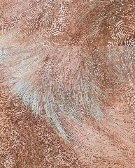 Superorganism detail2_22_sm.jpg