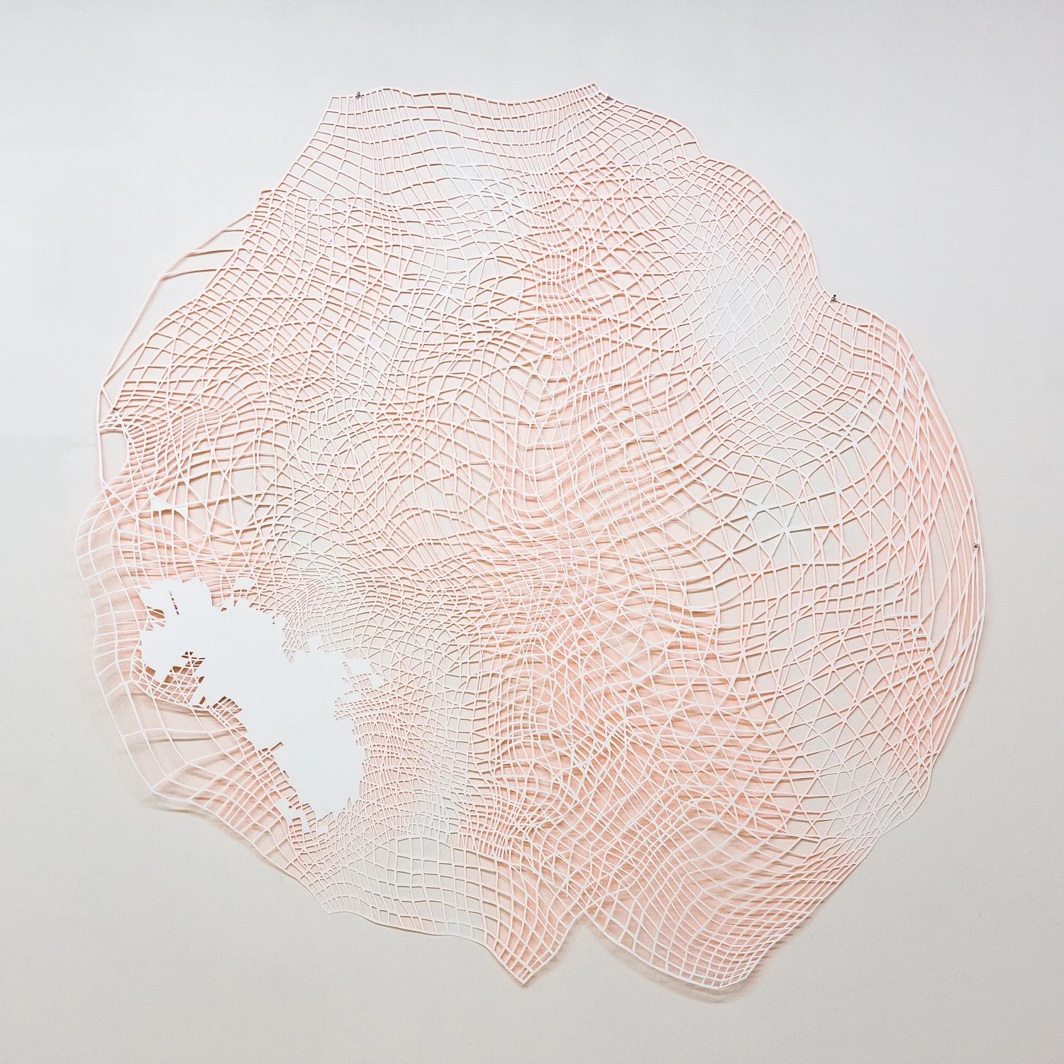 Double Net, 2013 acrylic paint, paper 92” x 87”