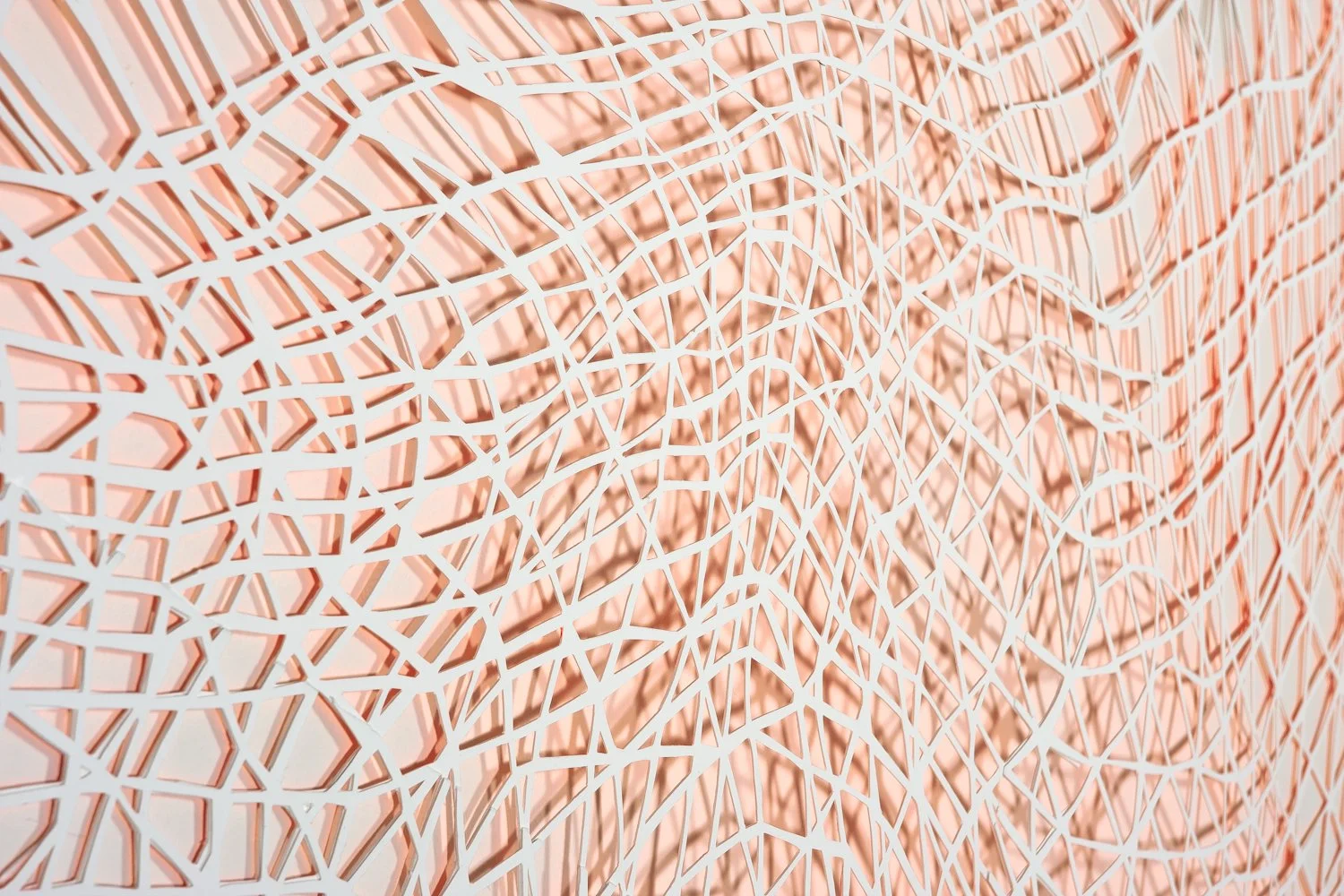 doublenet_13detail2.jpg
