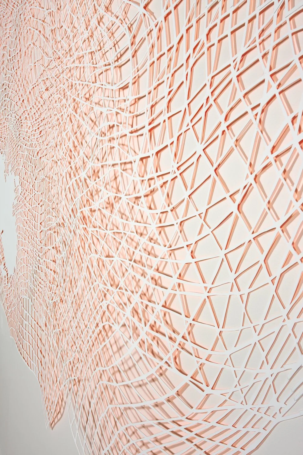 doublenet_13detail3.jpg
