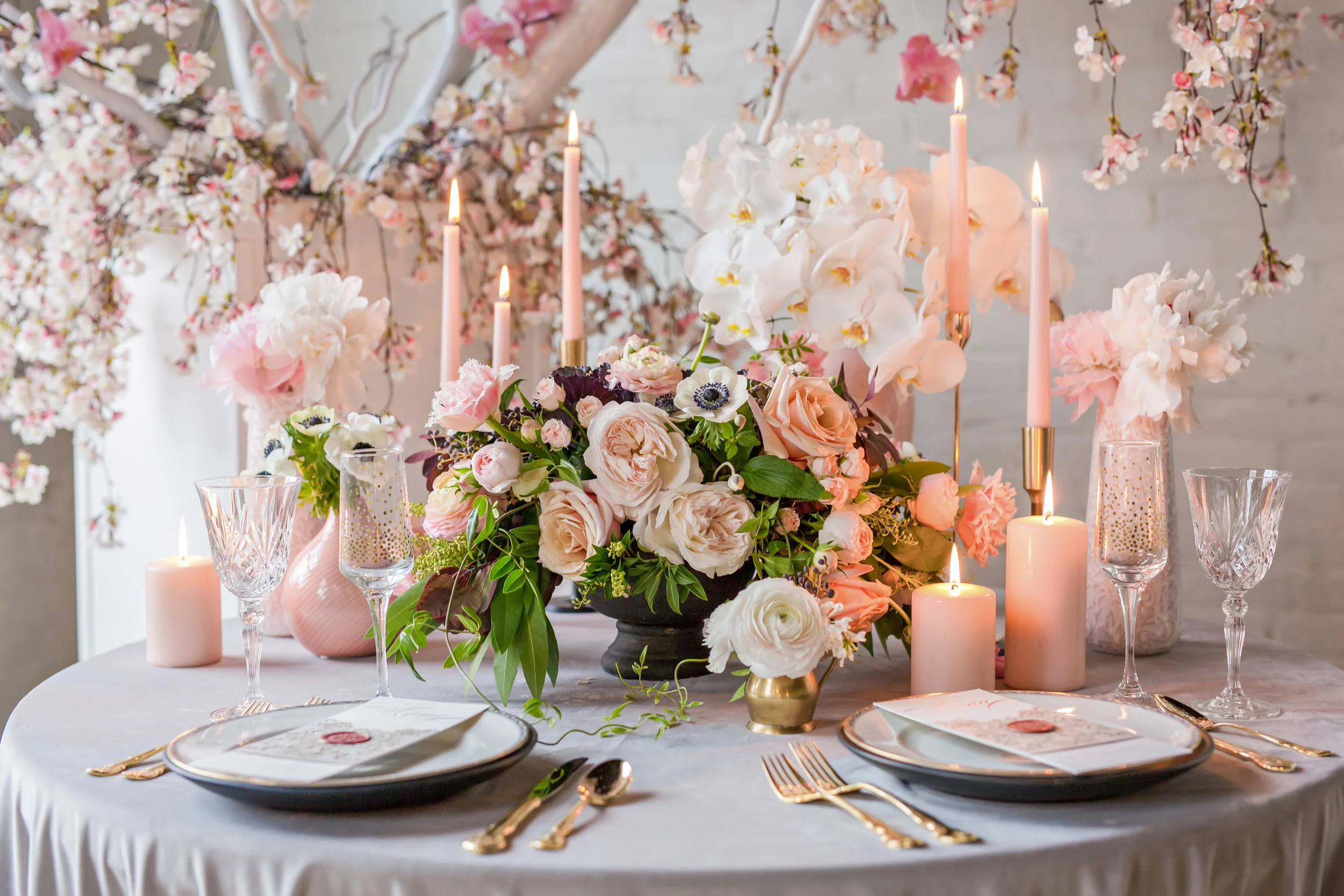 mdf_kellybramanphotography-177.jpg
