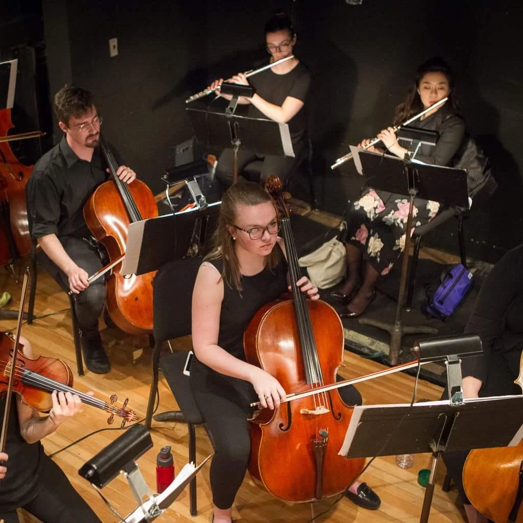 Stony Brook Opera: Die Fledermaus