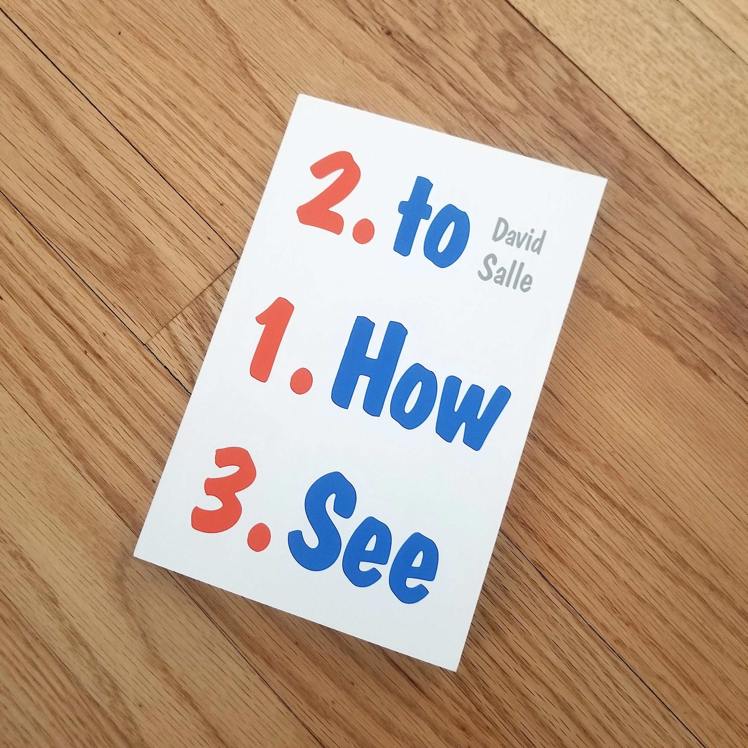 Art Book Club: How To See: Looking, Talking, and Thinking About Art by David Salle