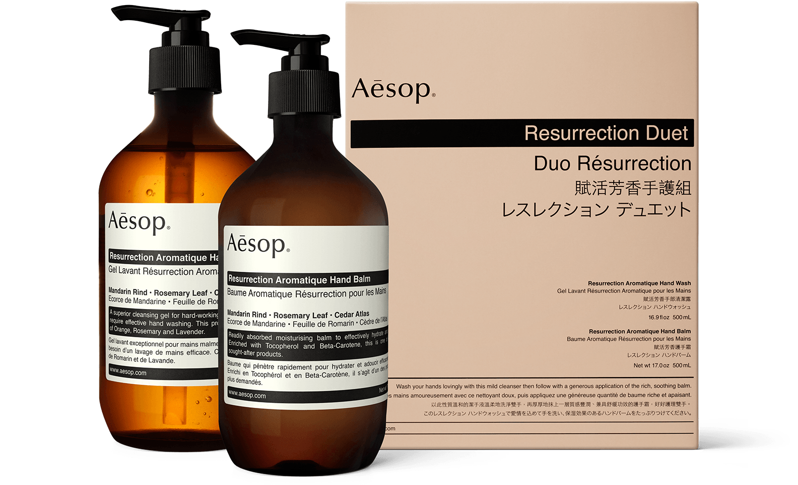 TheShipShapeShoppe-Aesop.png