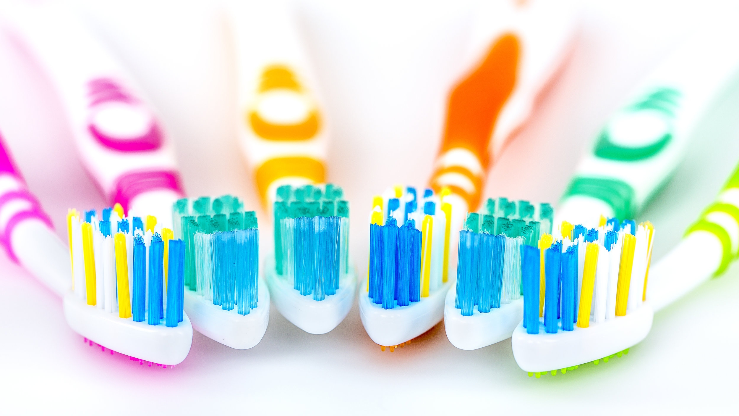 AdobeStock_141895200.jpeg