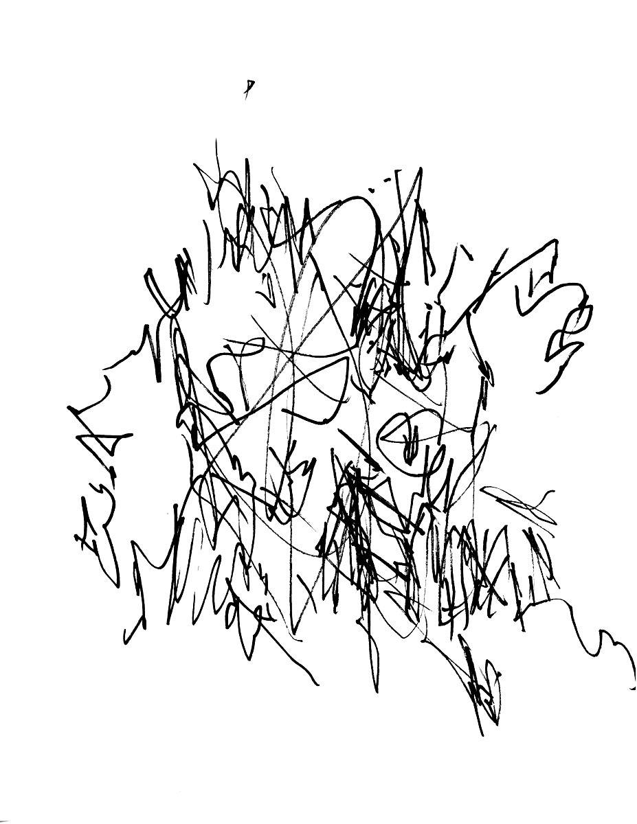   Raw Marks : Issue 1  explores the subconscious effects of restricted drawing conditions, while highlighting the importance of craftsmanship within an artwork. This issue documents the results of a 4 day work-shop guided by Lucía Garza at Parsons Th