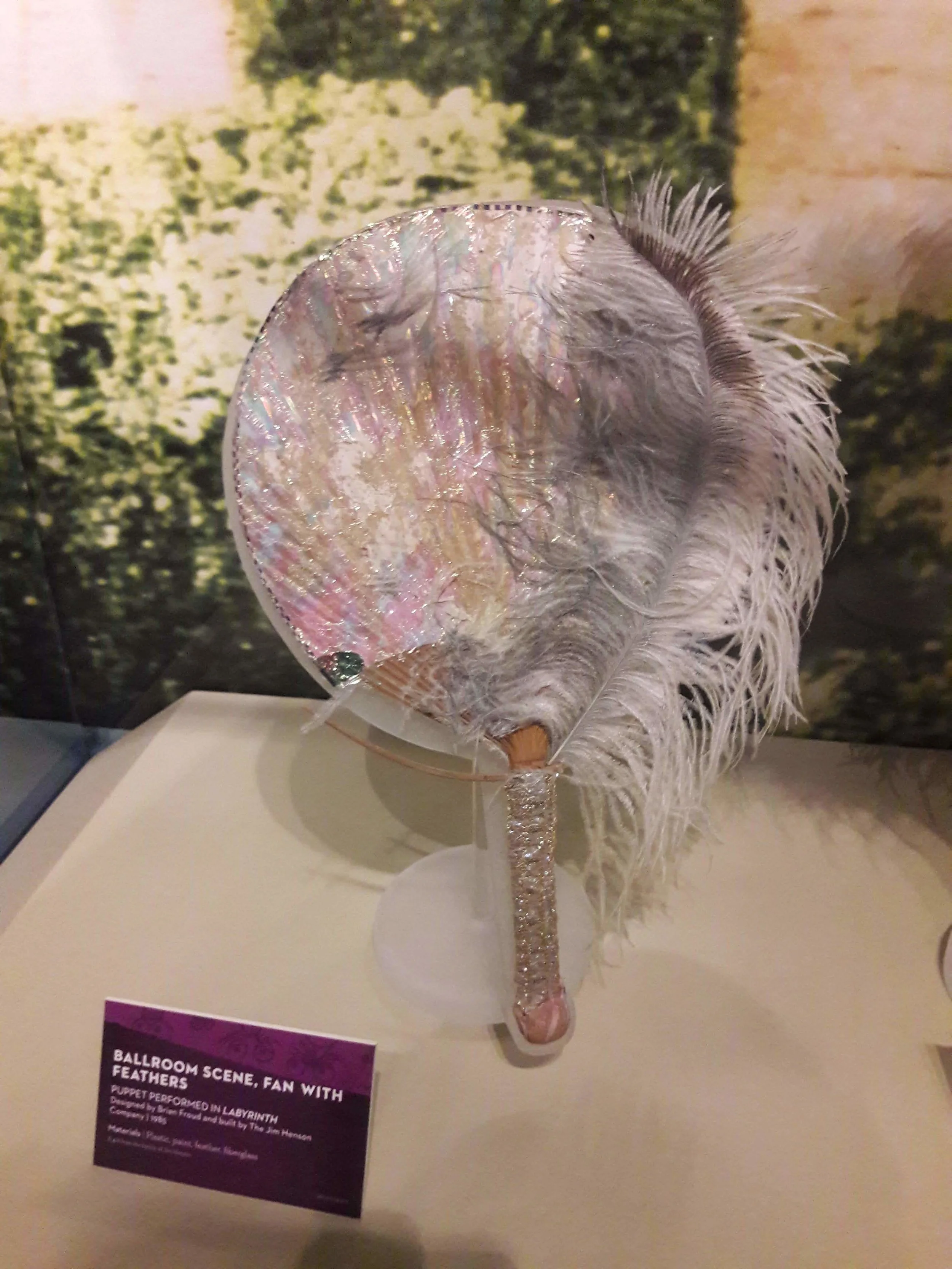 20181130_141807.jpg