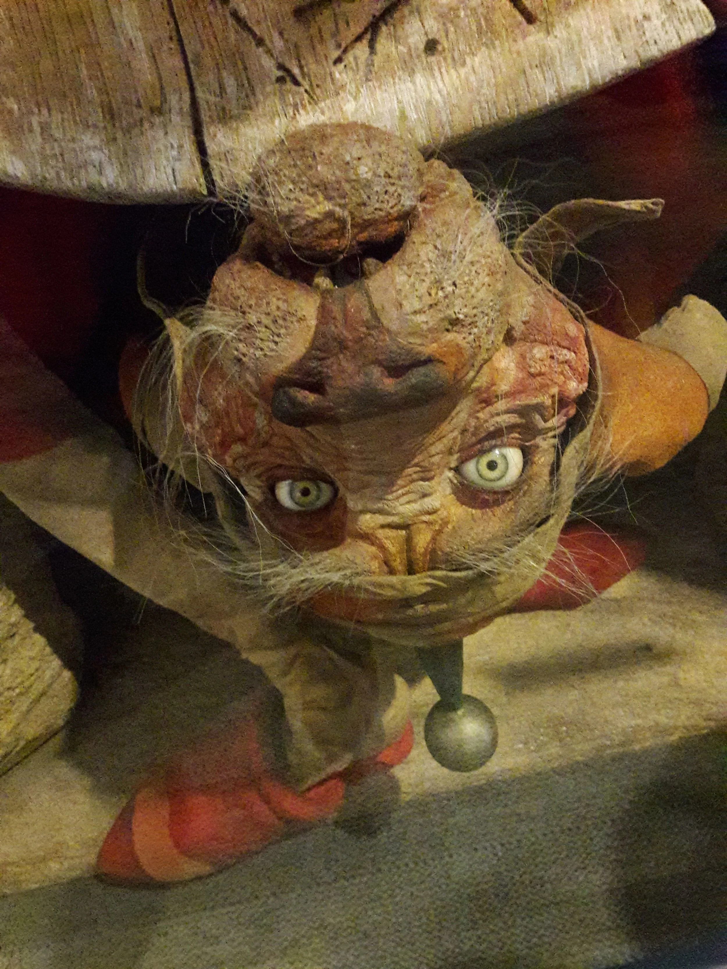 20181130_141717.jpg