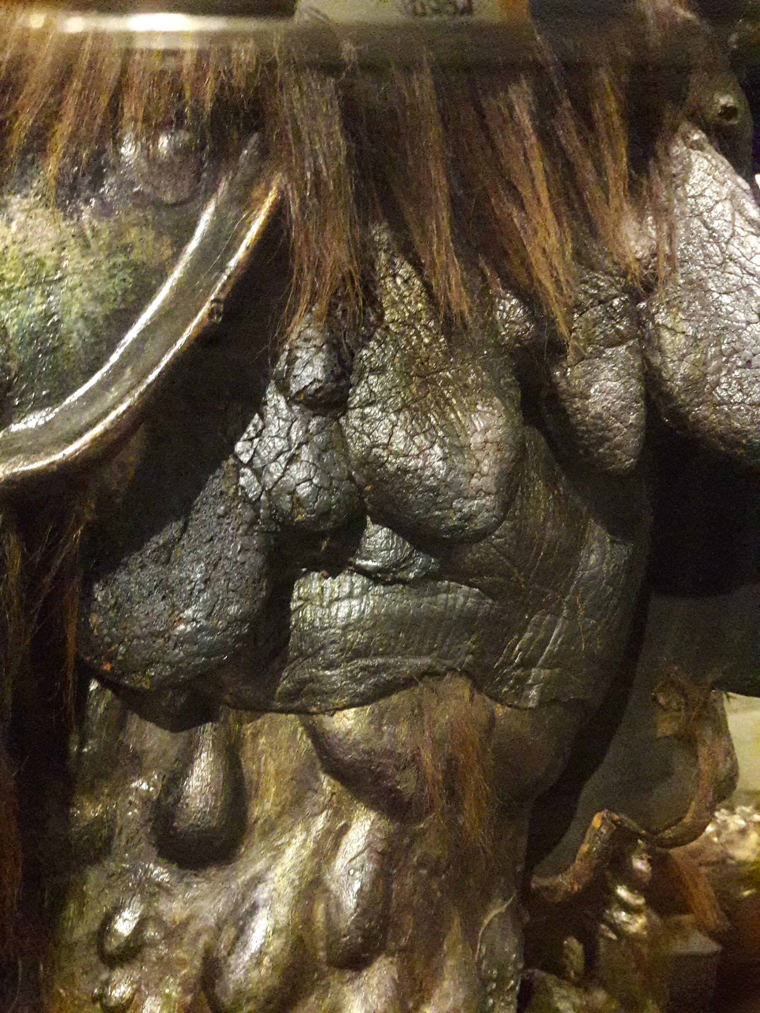 20181130_141609.jpg