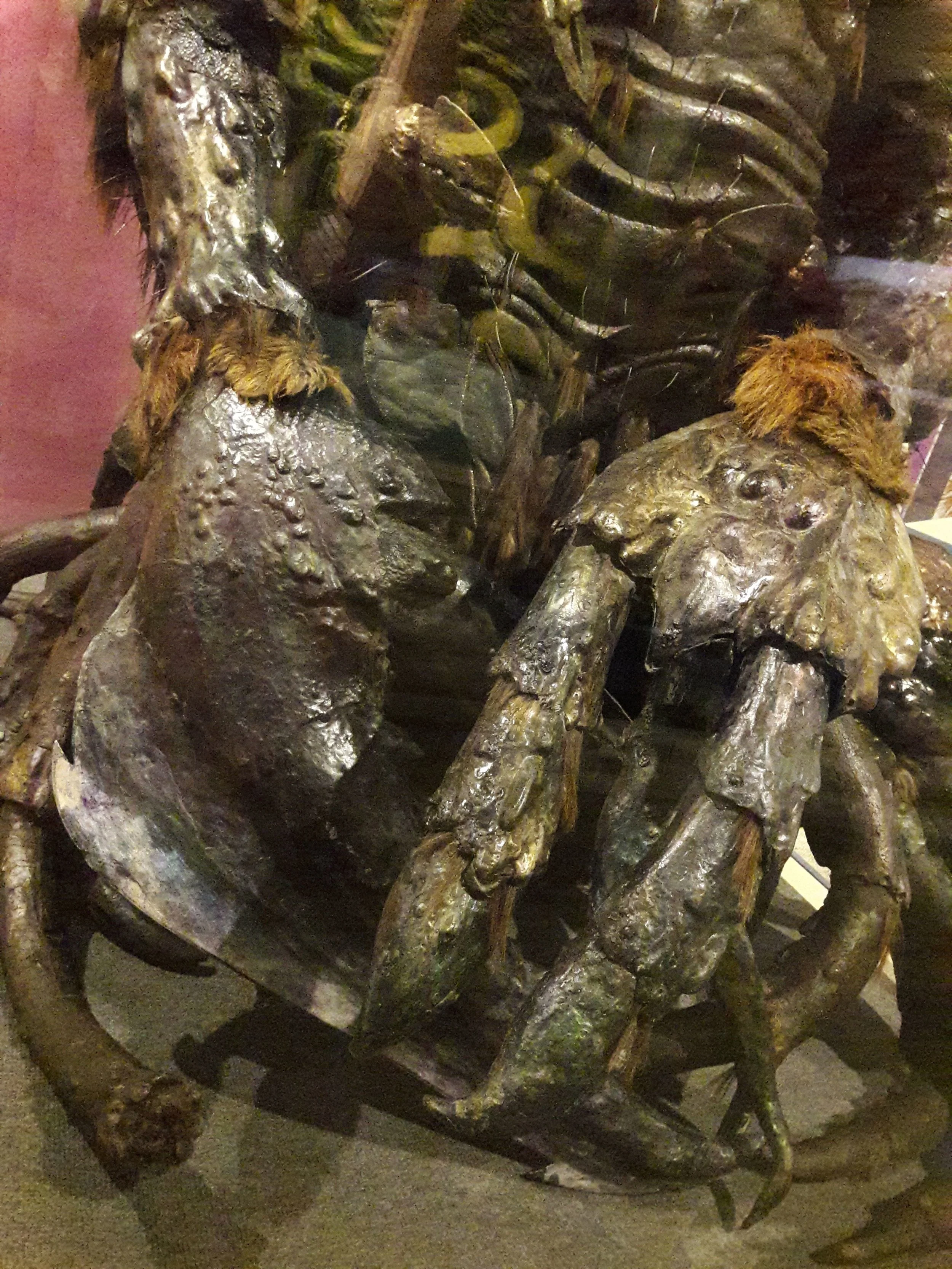 20181130_141557.jpg